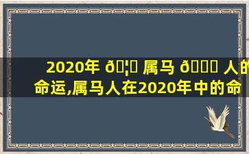 2020年 🦟 属马 🐝 人的命运,属马人在2020年中的命运如何呢